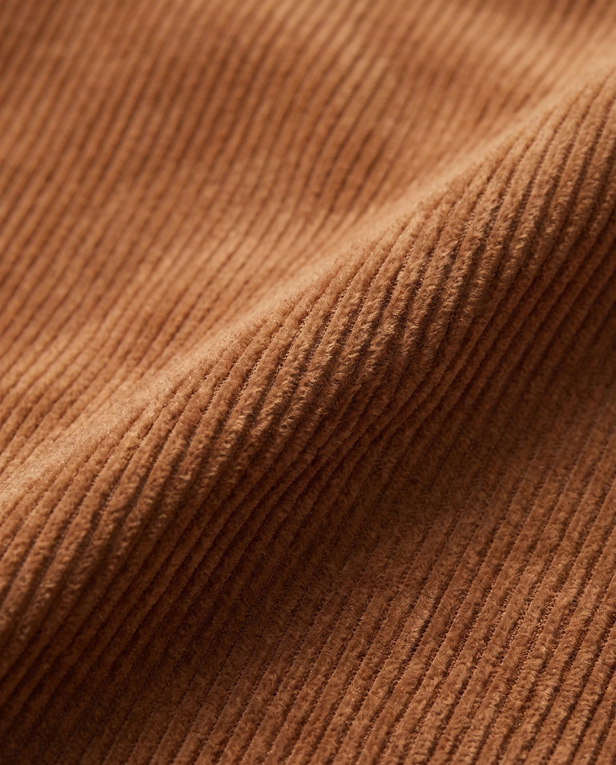 Women's Corduroy Button-Up Shirt Dress - Rhodanthe - Corduroy Texture